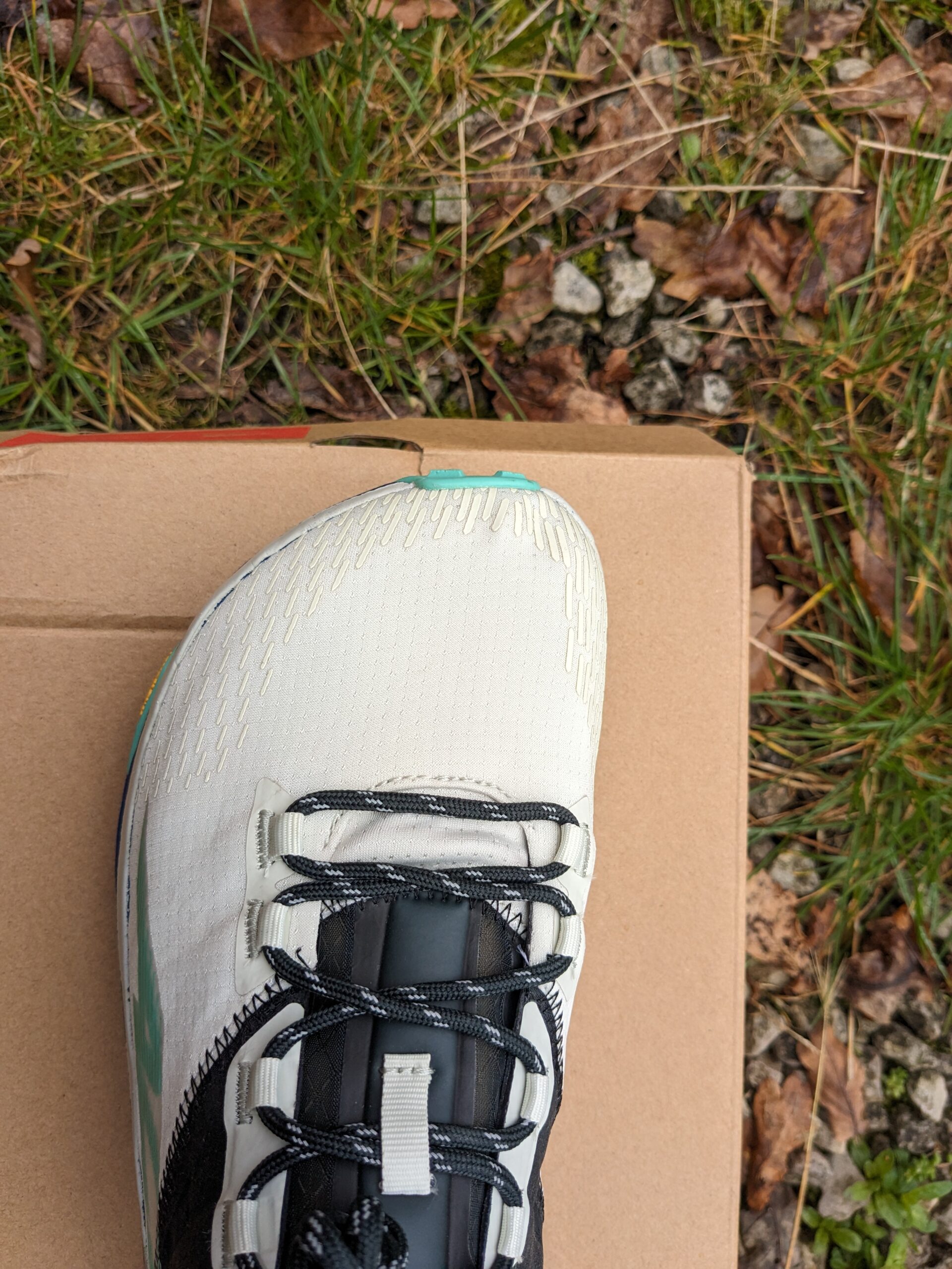 Altra Mont Blanc toe box