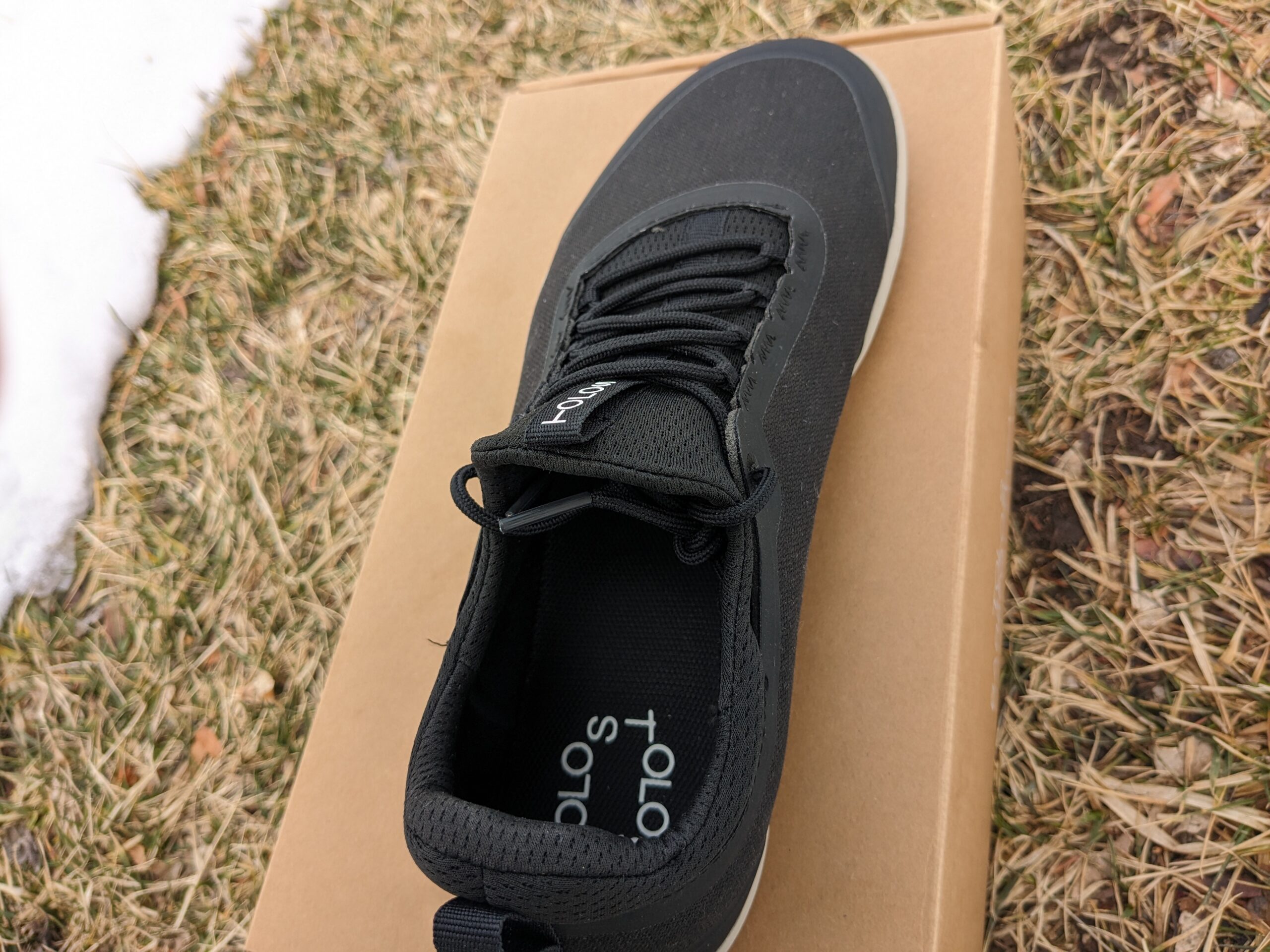 tolos archetype 2 tongue