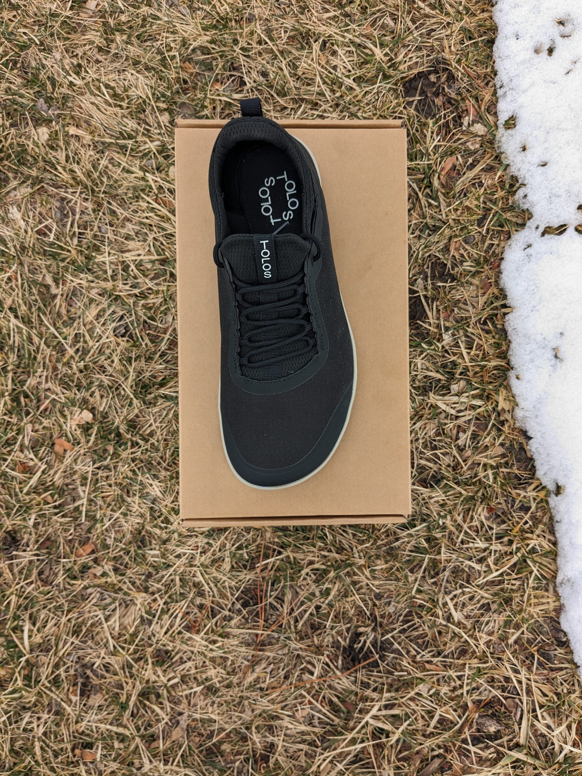 tolos archetype 2 top view