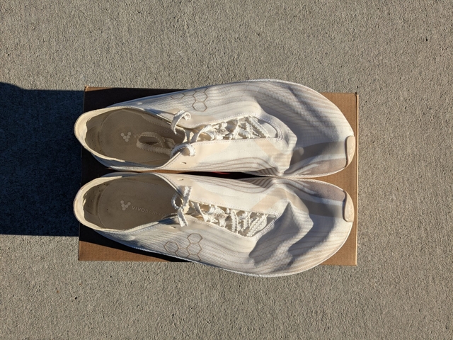 Xero Shoes vs. Vivobarefoot: Which Barefoot Brand Actually Fits Your Foot?