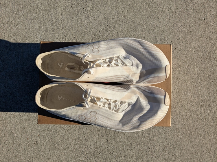 Xero Shoes vs. Vivobarefoot: Which Barefoot Brand Actually Fits Your Foot?