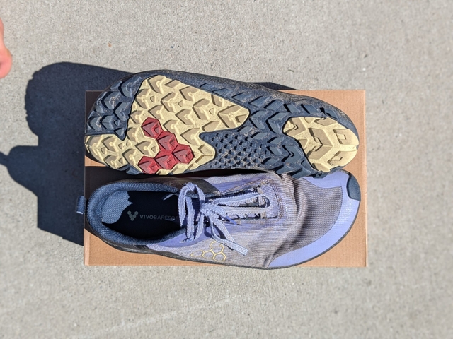 Three Races, Three Shoes: Strategic Footwear Selection for Different Race Demands