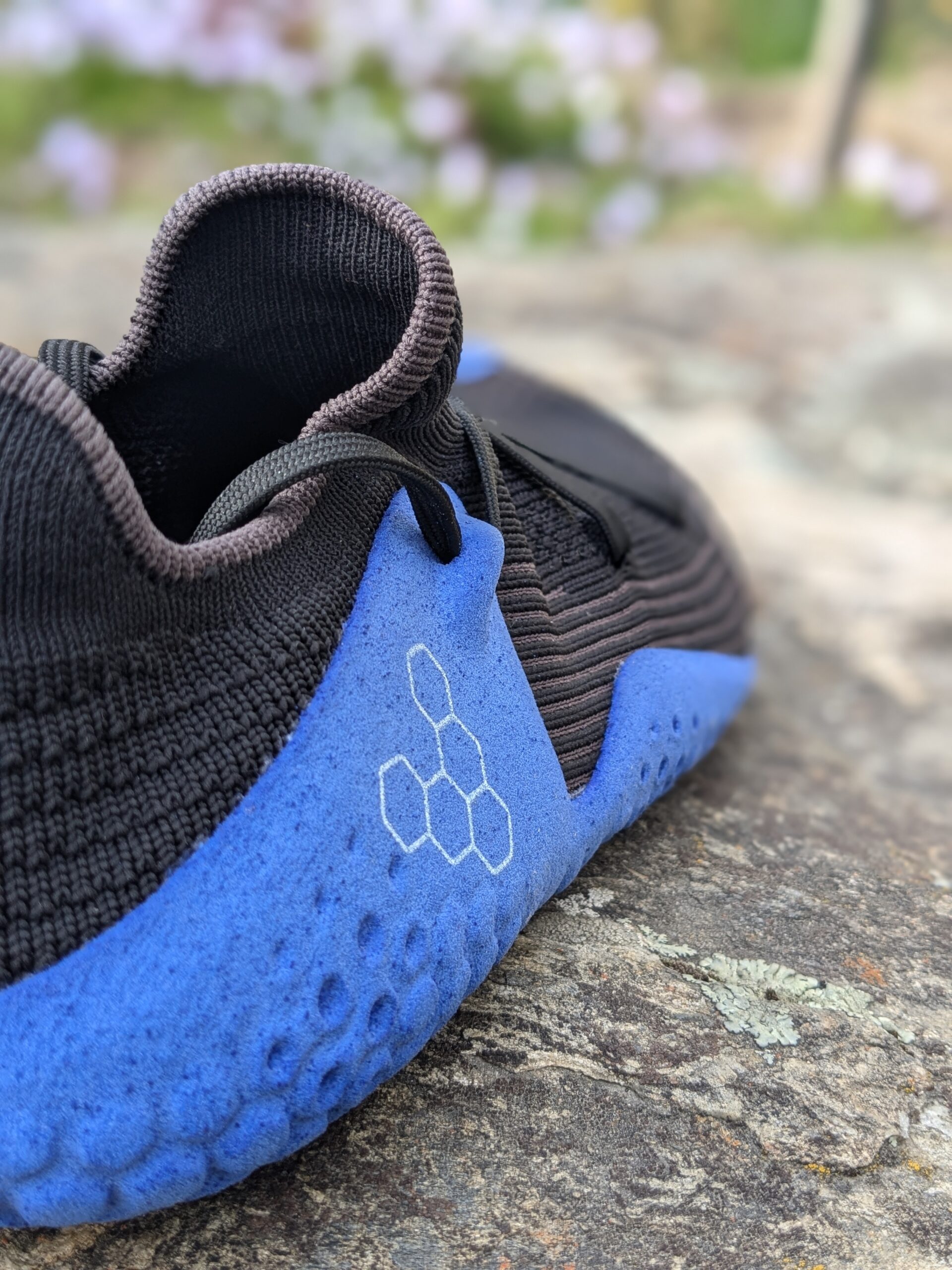 vivobiome hybrid wing outside step