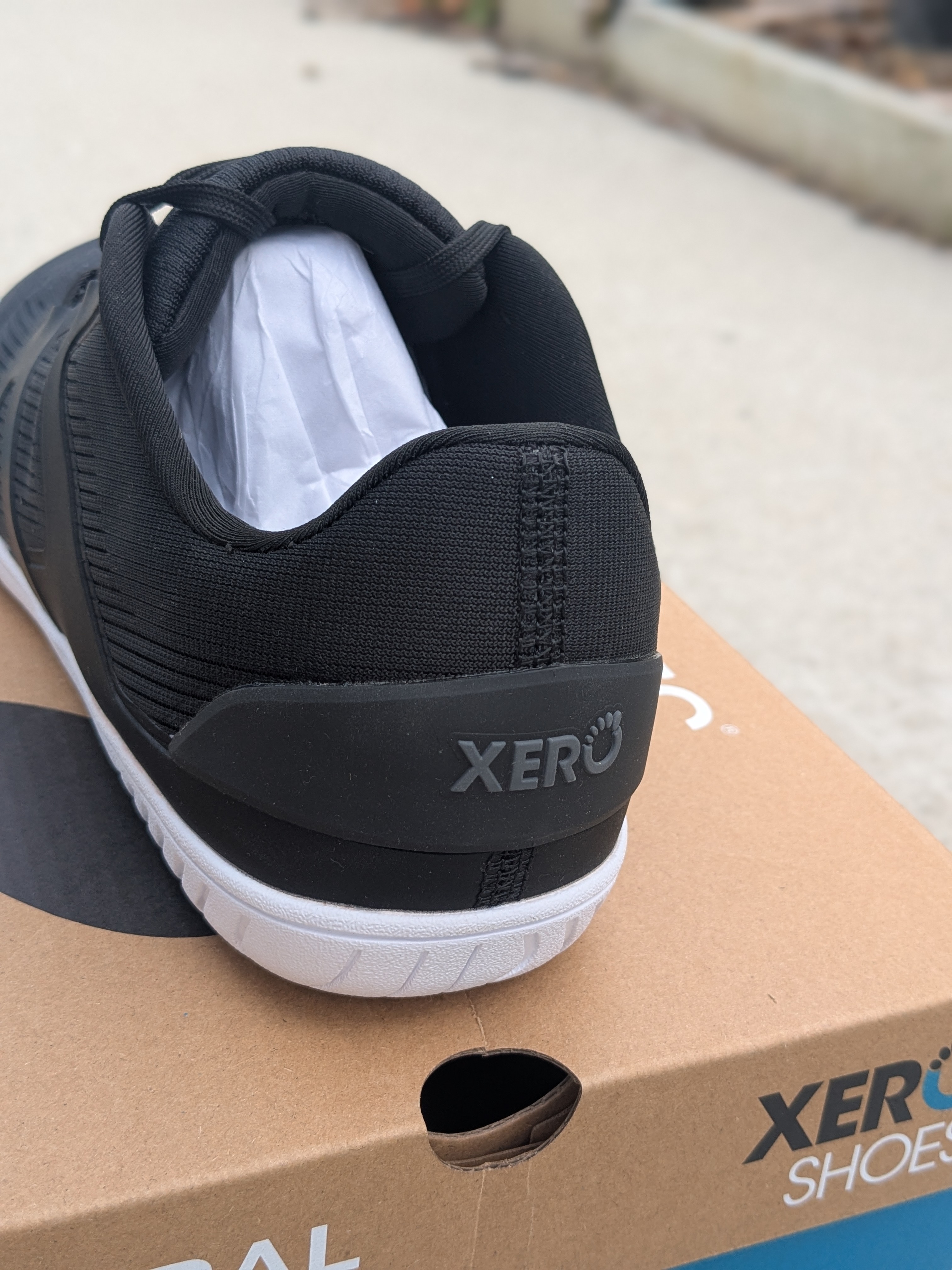 Xero Shoes 360 Rally heel cup and collar
