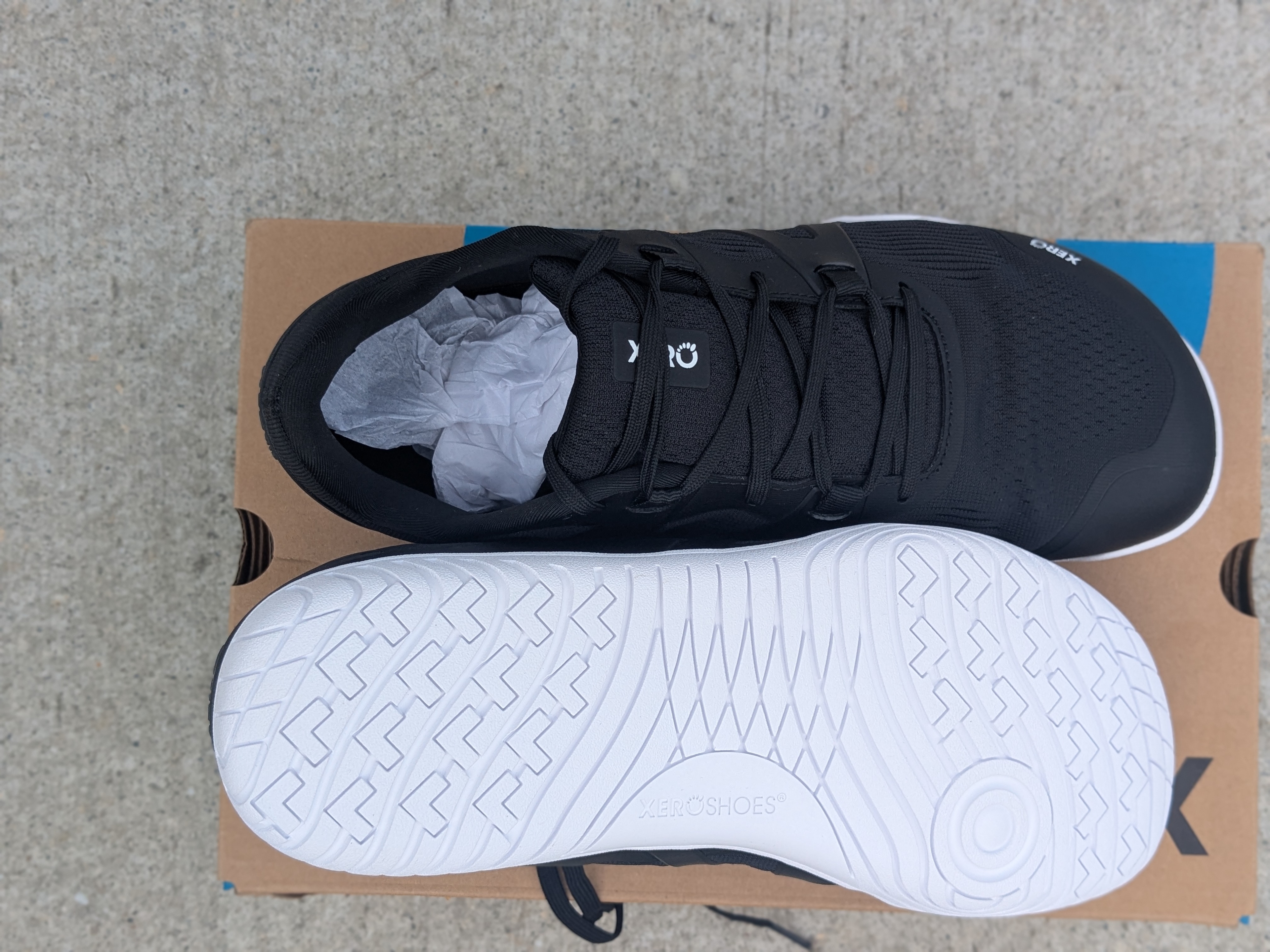 Xero Shoes 360 Rally pair showing the versatile gym and casual design