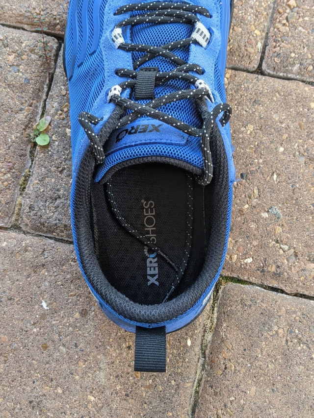 Best Zero Drop Sneakers for Everyday Wear (Tested)