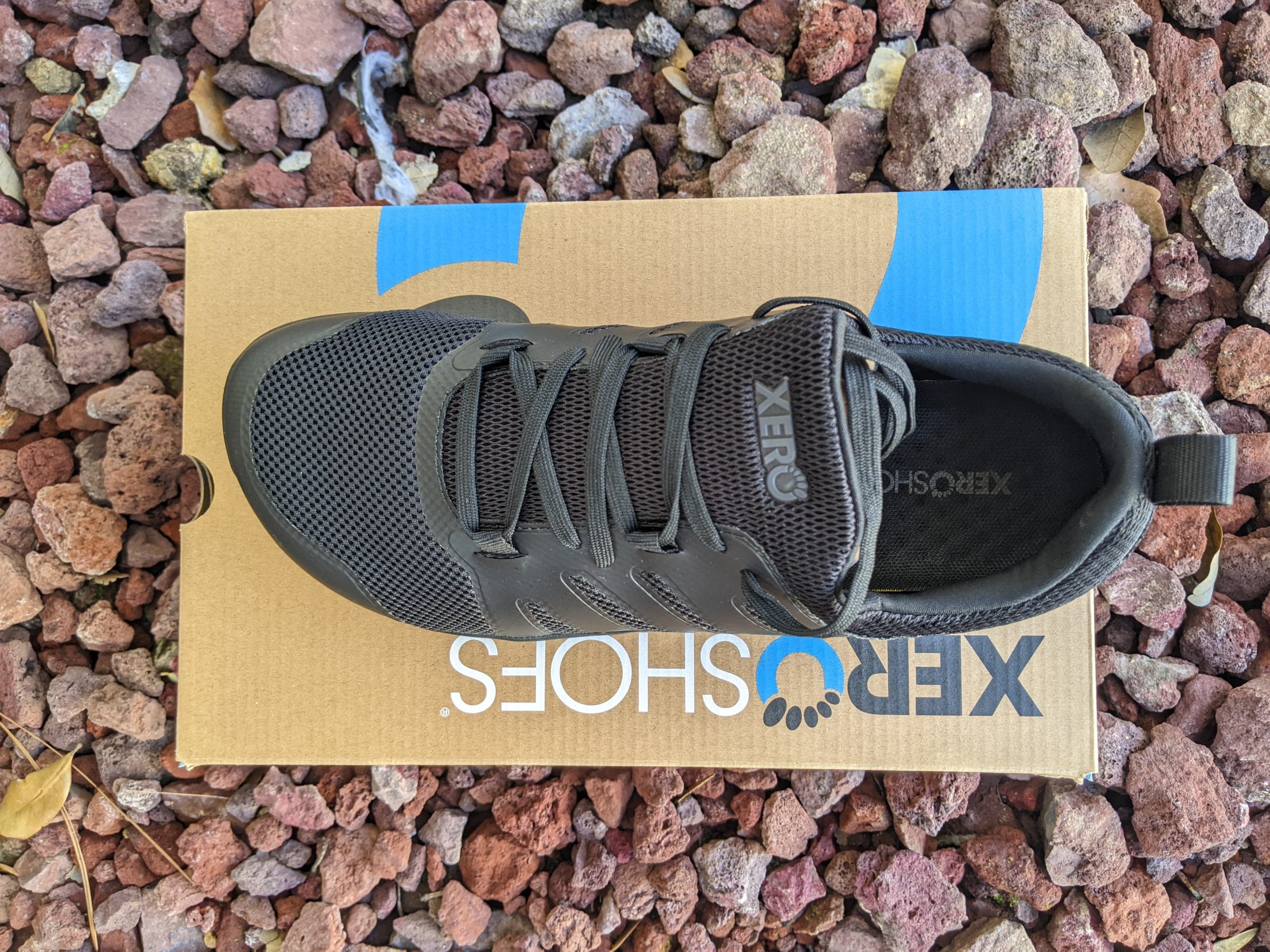 Xero shoes Forza Runner top view