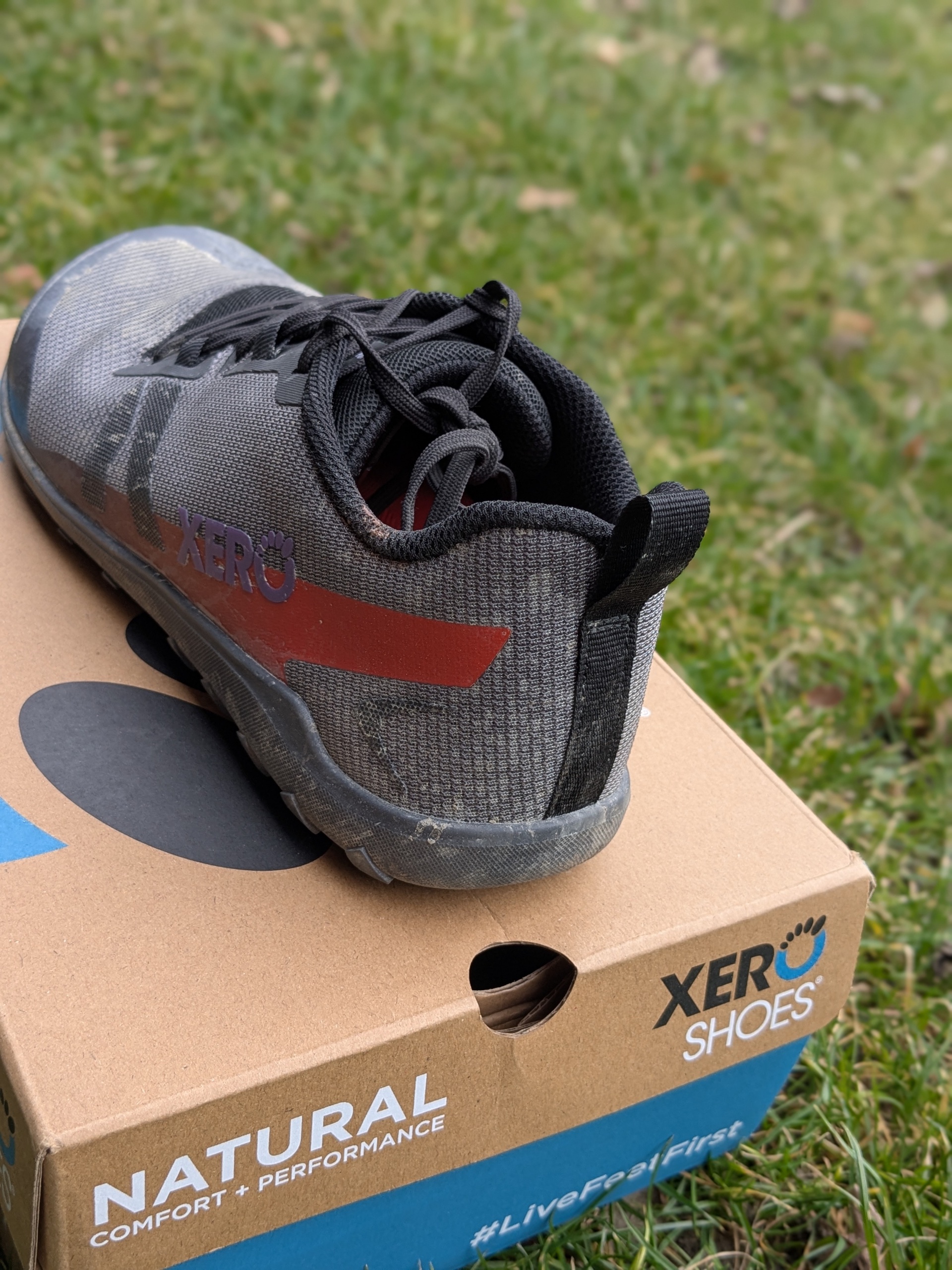 Xero Shoes Mesa Summit heel counter