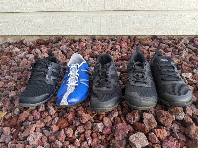 The Best Xero Shoes Road Running Shoe 2023