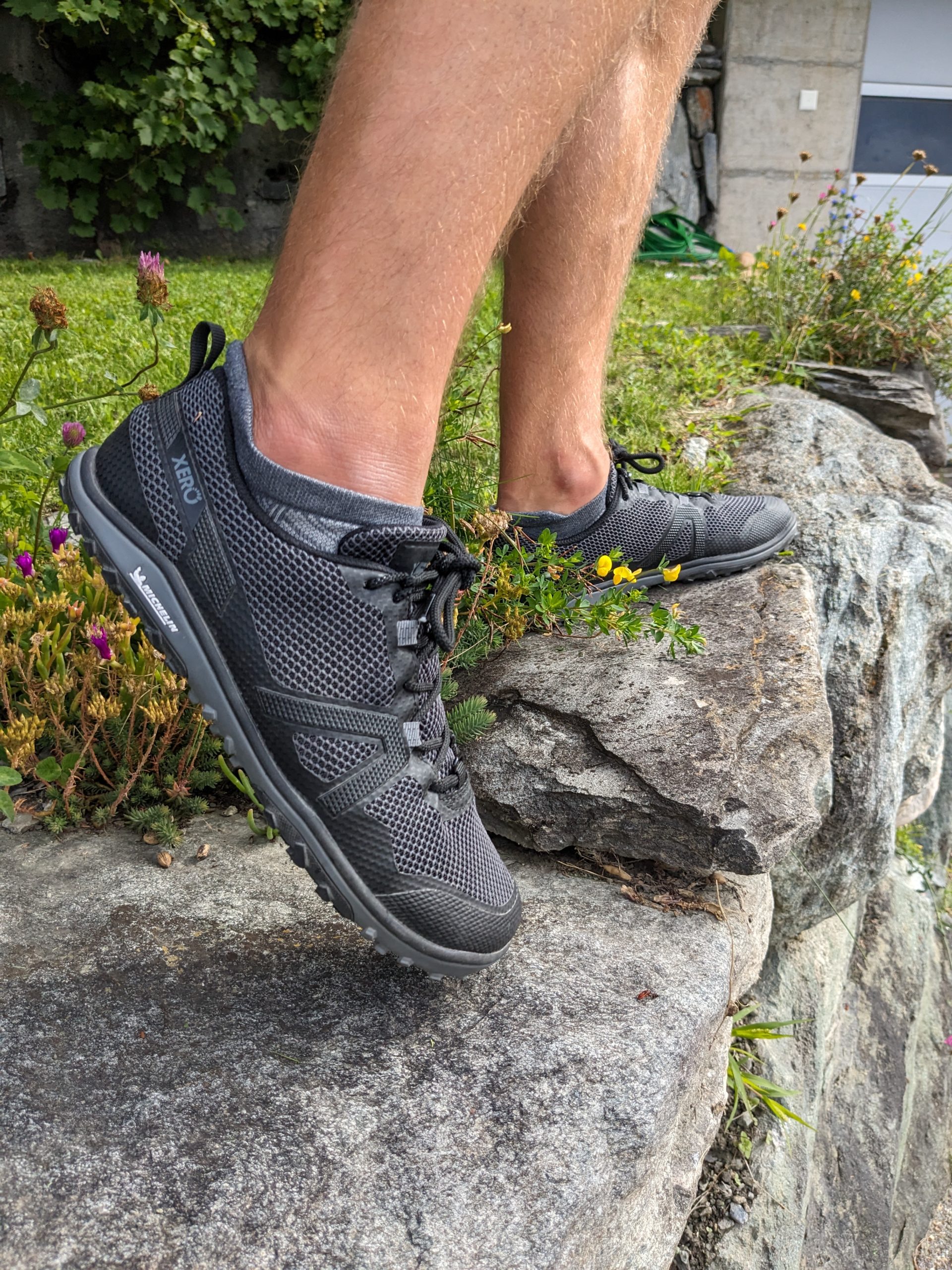 Xero Shoes Scambler Low active