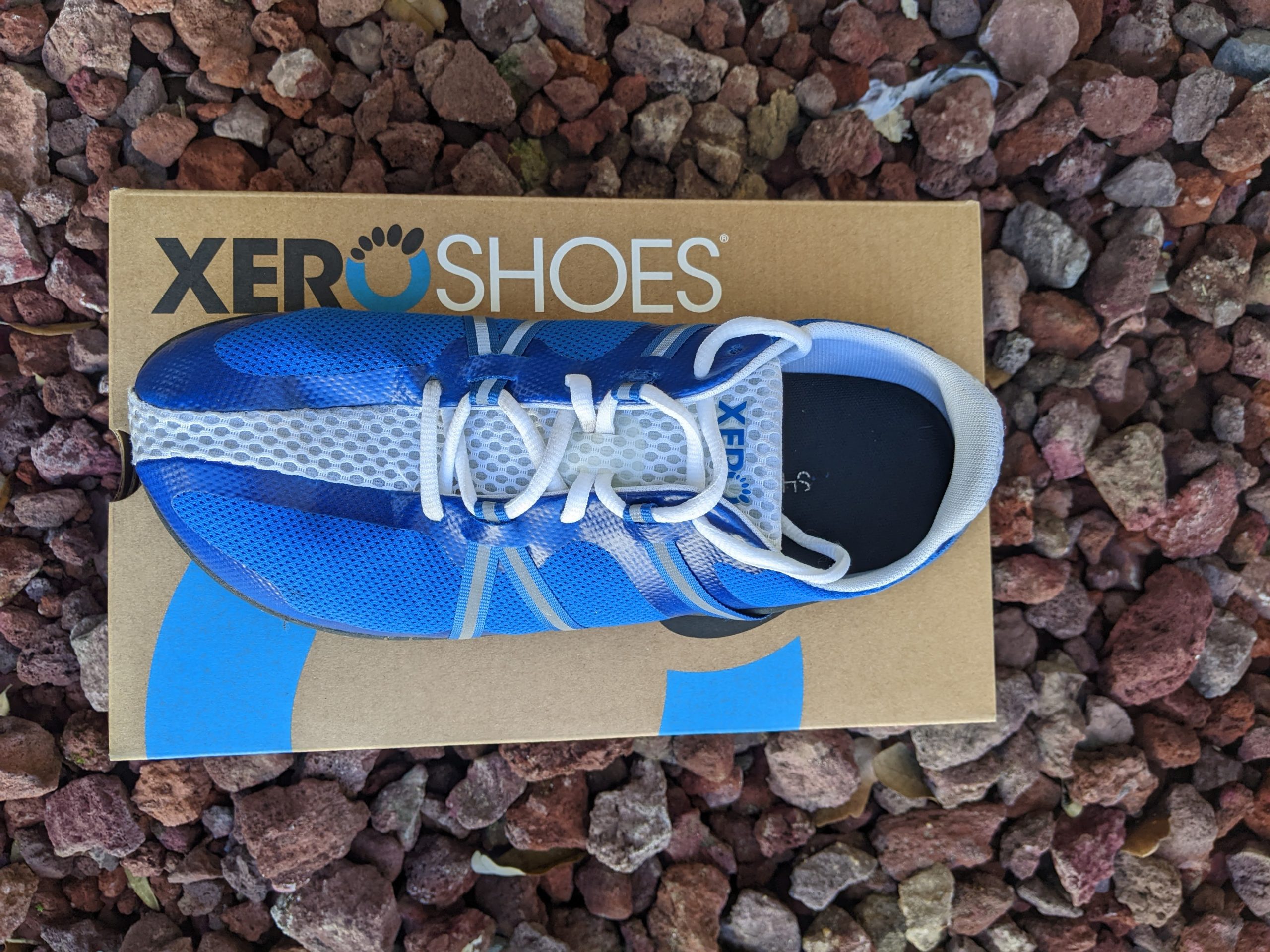 Altra Lone Peak 7 review vs 6
