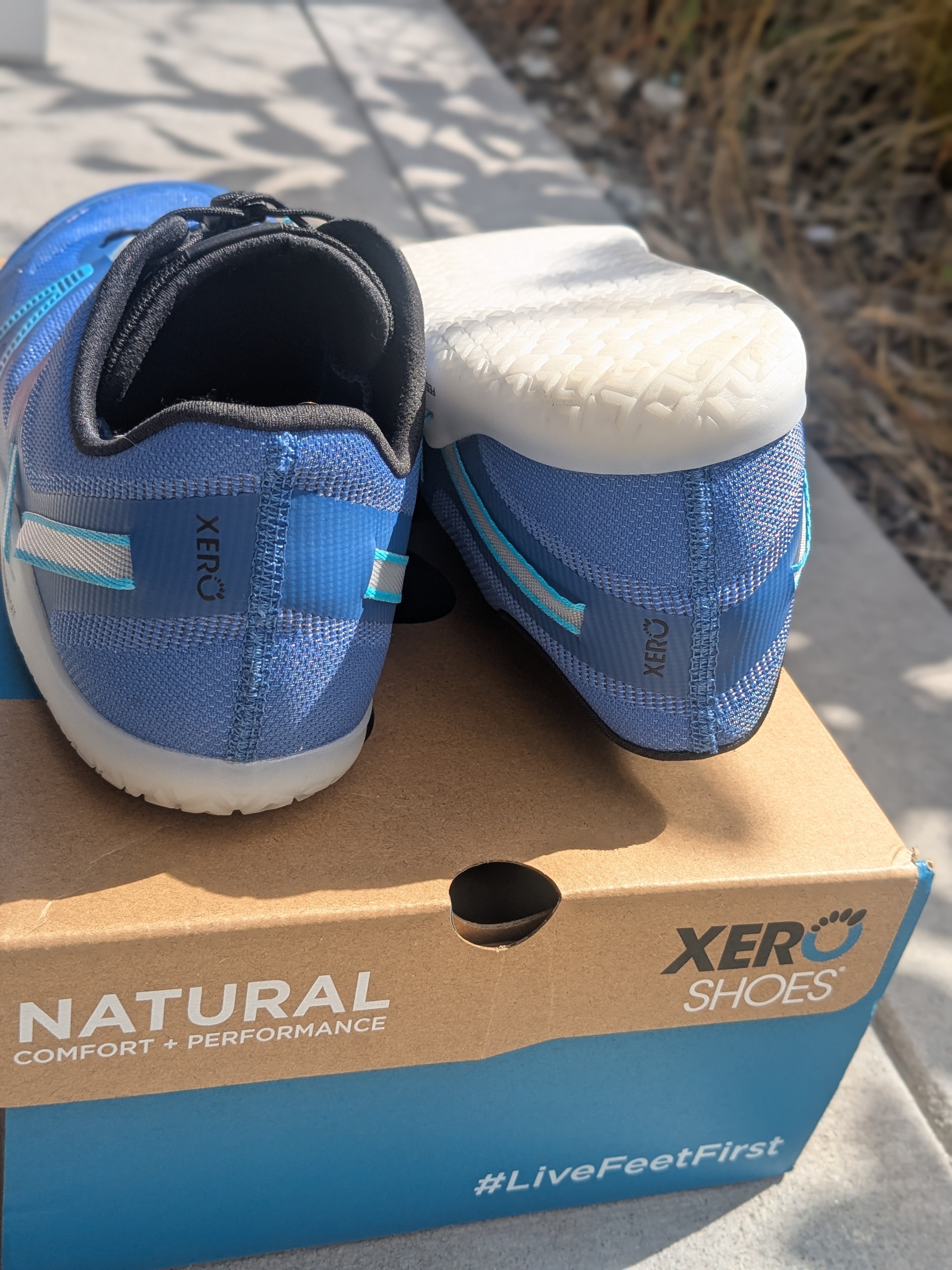 Xero Shoes XT Max pair heel view