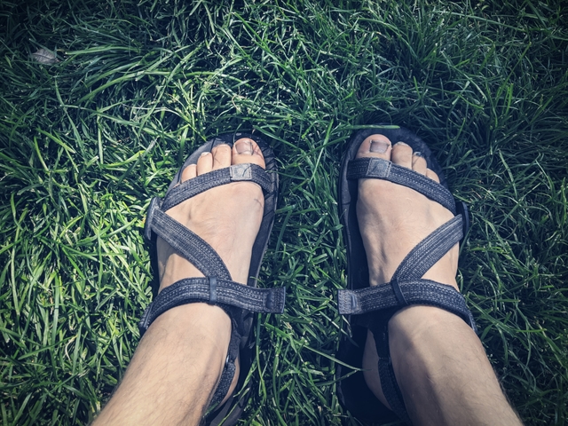 Xero Shoes Z-Trail Review: A sandal that does it all?