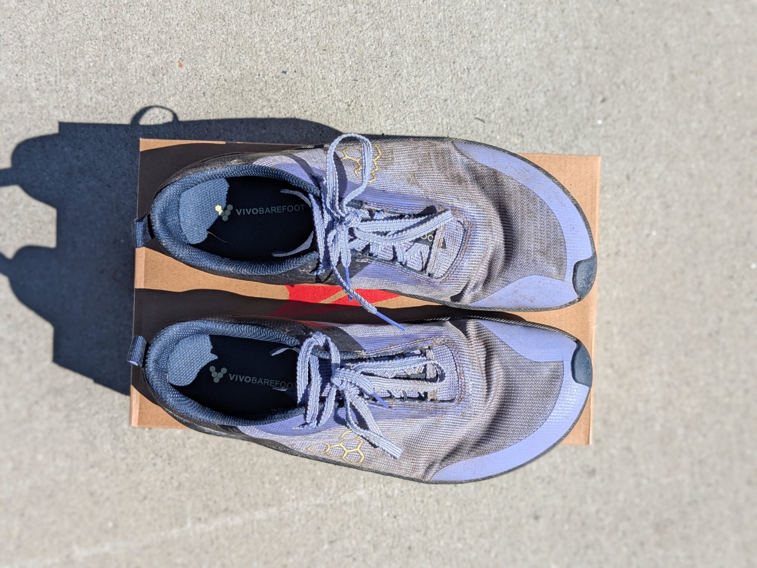 Vivobarefoot Primus Trail Flow fit showing narrow toe box and secure midfoot