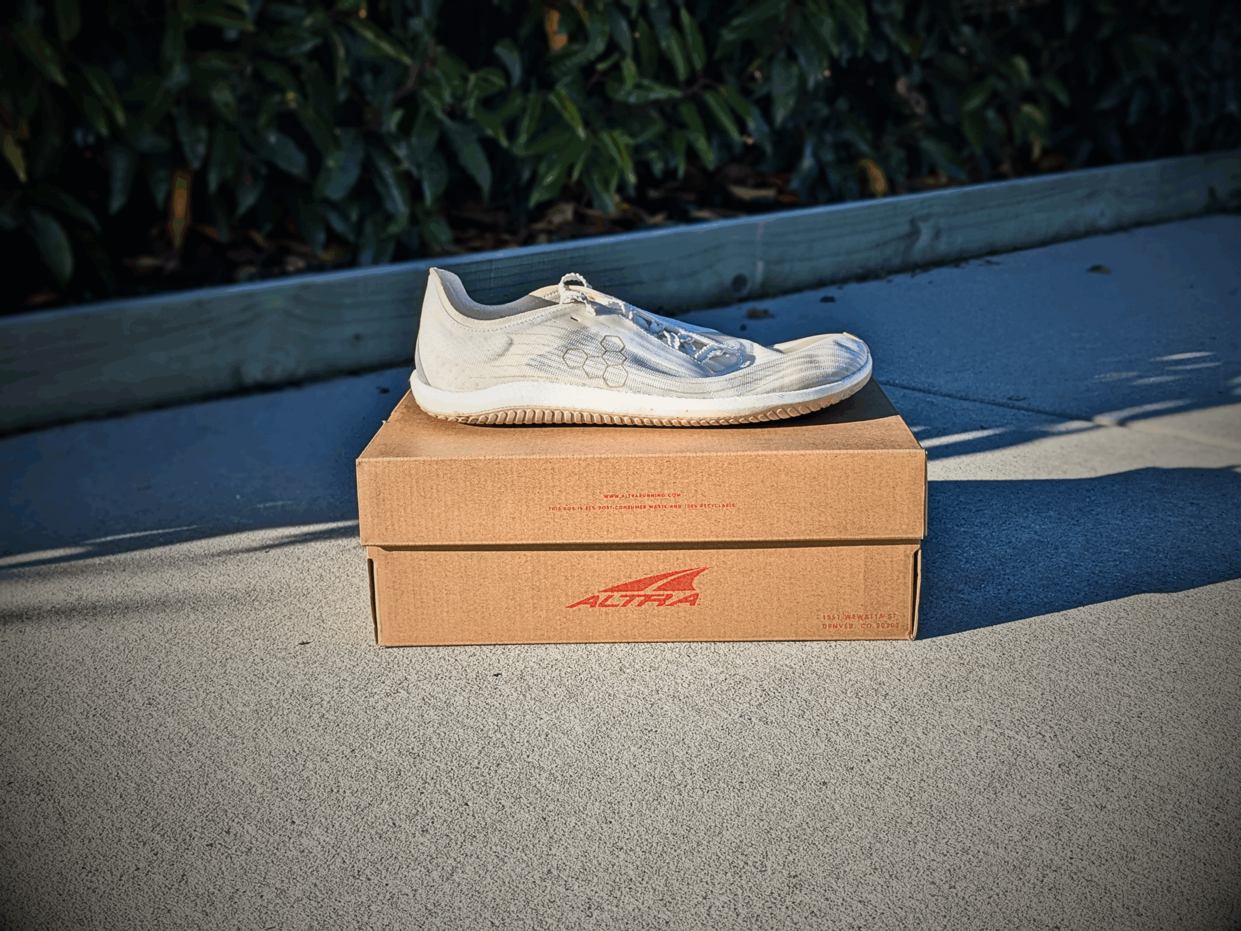 Vivobarefoot プライマスフロー 42 PRIMUS FLOW / プライマスフロー (M) - Vivobarefoot JAPAN